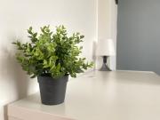 Top Sotteville-lès-Rouen