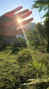 Top Paraty