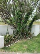 Top Saint Columb Minor