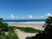 Top Cabarete Top Cabarete