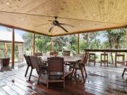 Silverleaves on the Beach