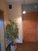 Top Rajcza Top Rajcza