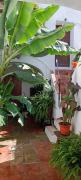 The best in the center of Tarifa