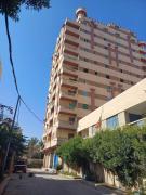 العجمى شارع الروضه الخضراء