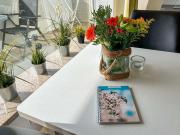 Top Sankt Peter-Ording Top Sankt Peter-Ording