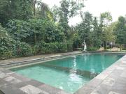 Top Ubud