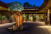 Top Palm Desert
