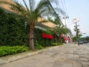 Friends House Resort