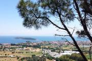Top Urla