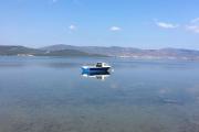 Top Urla