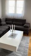 Top Konik
