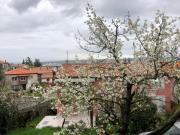 Top Koper