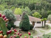 La Vinya de Mas Pujol