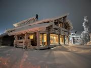 Auroras by Kaltios, Kaltionkuusi