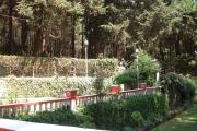 Top Ooty