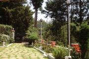 Top Ooty