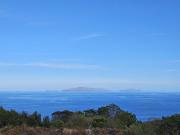 Top Machico Top Machico