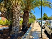 Top Playa del Aguila