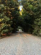 Top Celorico da Beira