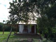 Top Colonia Carlos Pellegrini