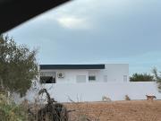 Top Houmt Souk