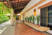 Top Palenque