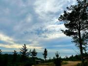 Top Boyeruca Top Boyeruca