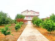Villas Elenna for rent feeling home