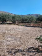 Top Castellammare del Golfo