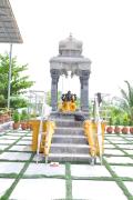 Top Māmandūr