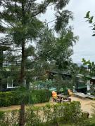 Top Ban Phu Hi