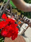 Enns Sleep Apartment Self Check In