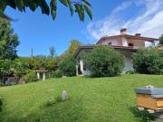 Top Villanuova sul clisi