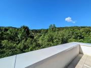 Top Bad Ischl