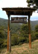 Top Cutigliano