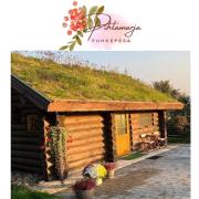 Top Kriilevälja Top Kriilevälja