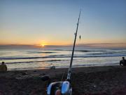 Departamento 7 Tortuguero