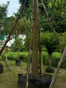 The wishes สมหวัง รีสอร์ท