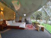 North Cliff by Stay Pattern