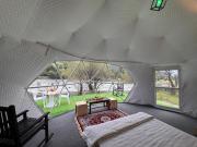 North Cliff by Stay Pattern