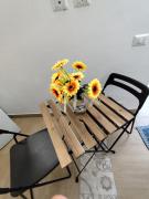 Causunaras apartment Grazia