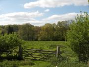 Manor Holding Cottage 3 Star, Grade II Listed Manor Holding Cottage 3 Star, Grade II Listed