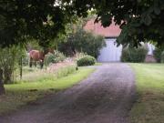 Top Fournes-en-Weppes