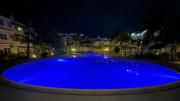Le Dattier -dreambeach