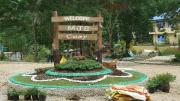 MJS Campsite and Mountain Resort