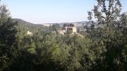 Top Volterra