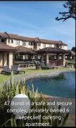 Top Shelly Beach