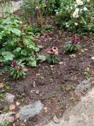 Top Dorf Mecklenburg