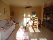 Top Amélie-les-Bains-Palalda