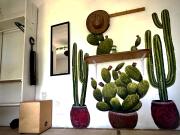 Top Mazunte Top Mazunte